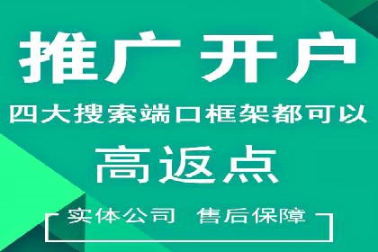 行业新秀的SEM托管代运营之路